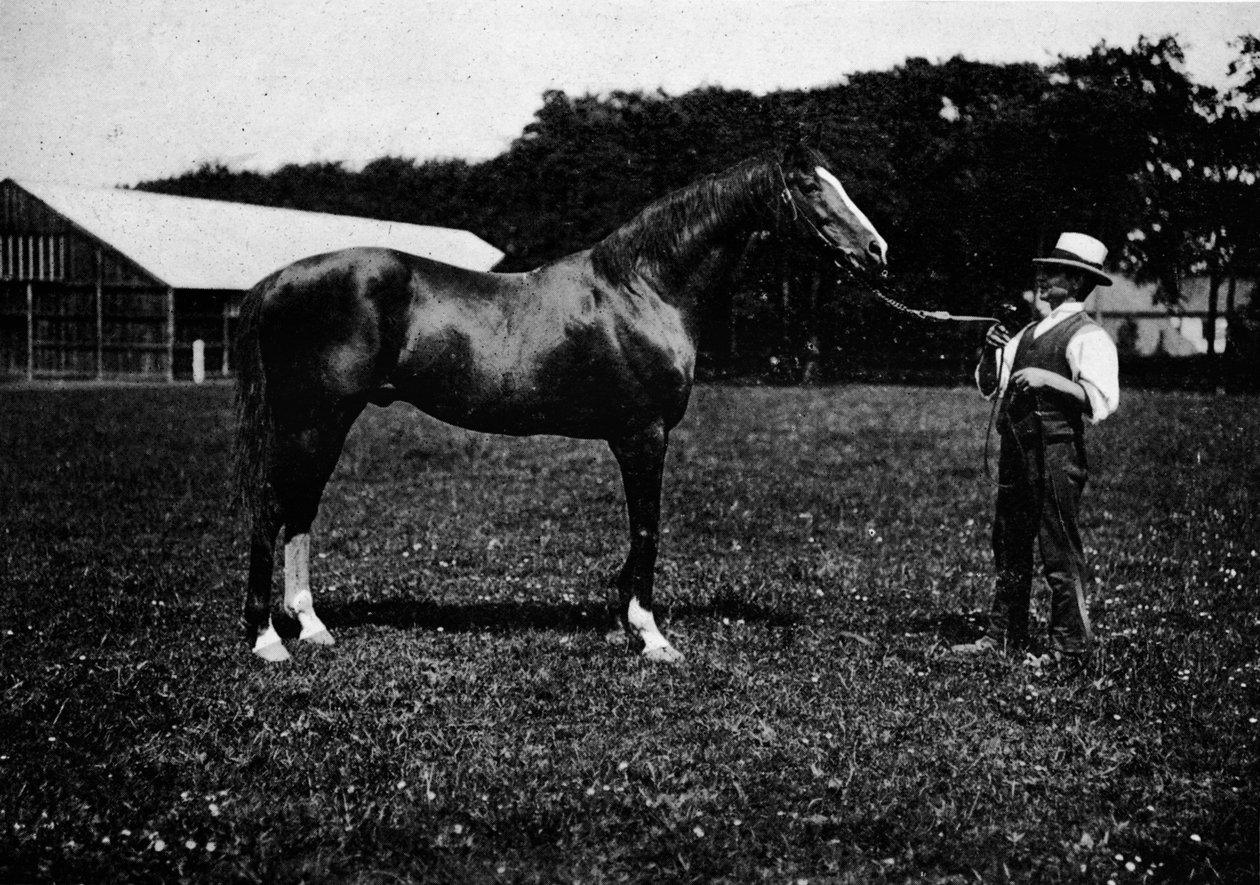 Victor Wild, 1911 af Unbekannt