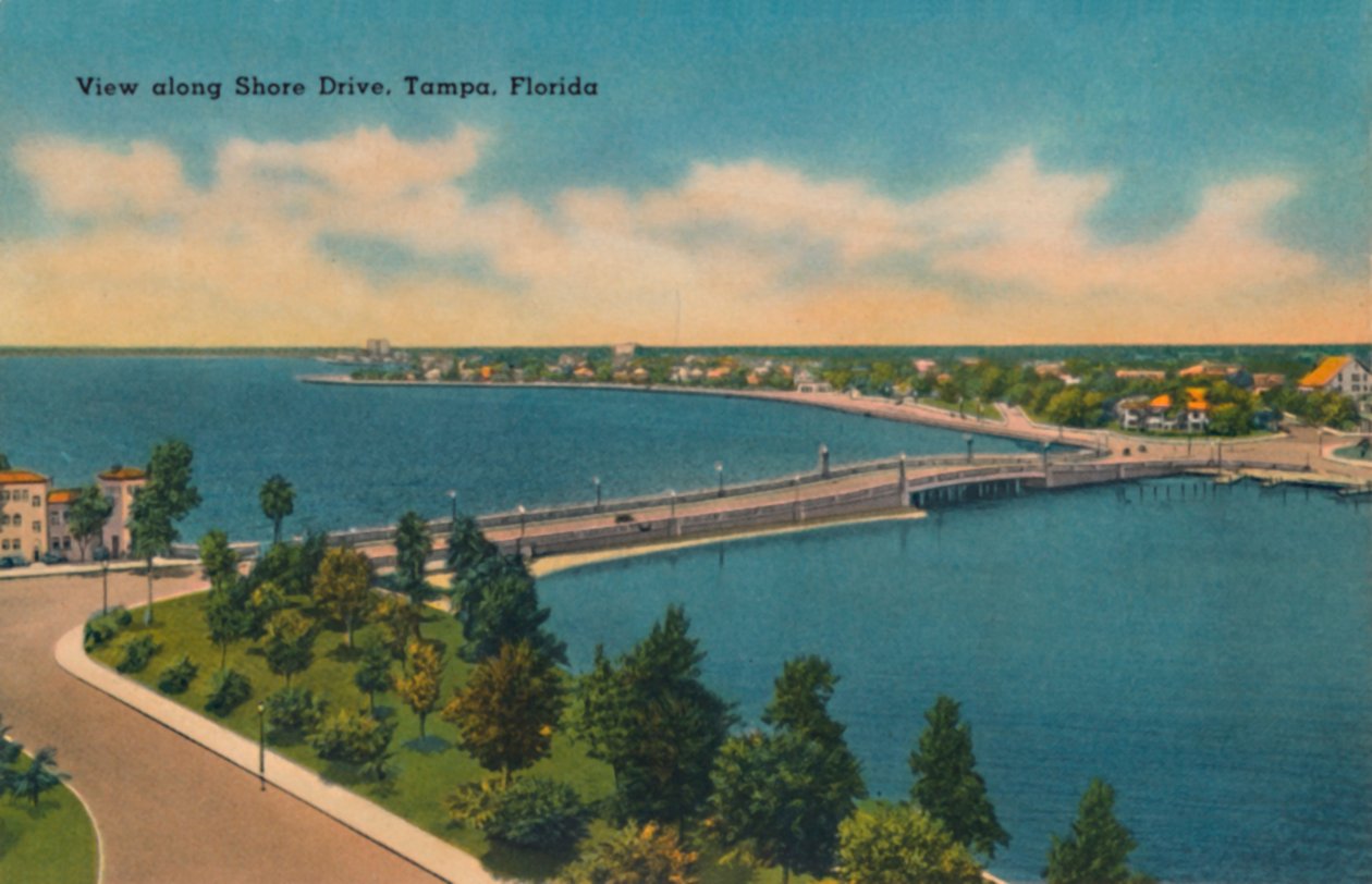 Udsigt langs Shore Drive, Tampa, Florida., c1940