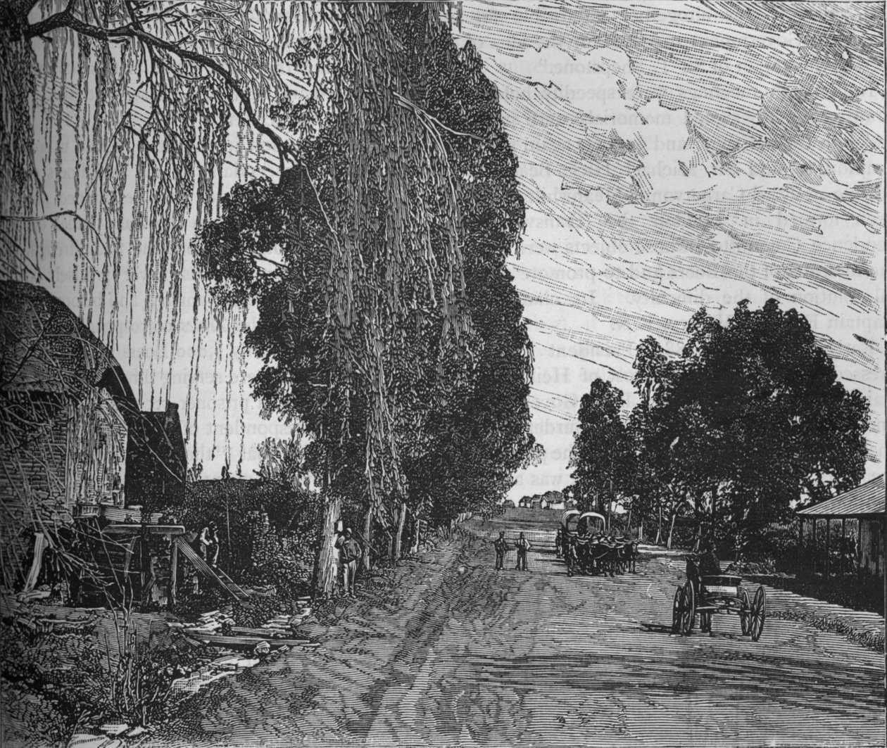 Udsigt nær Pretoria, c1880 af Unbekannt