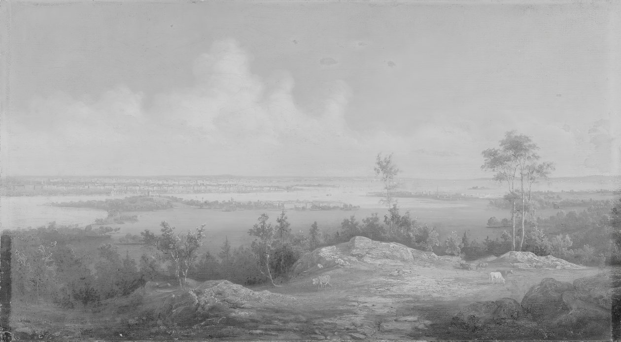 Udsigt over New York fra New Jersey, ca. 1850. af Unbekannt
