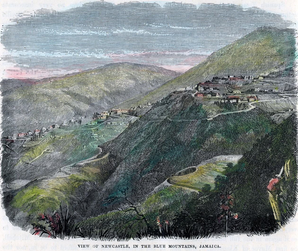 Udsigt over Newcastle, i Blue Mountains, Jamaica, c1880 af Unbekannt