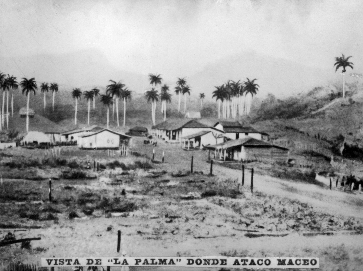 Udsigt over Palma, 1896, 1920