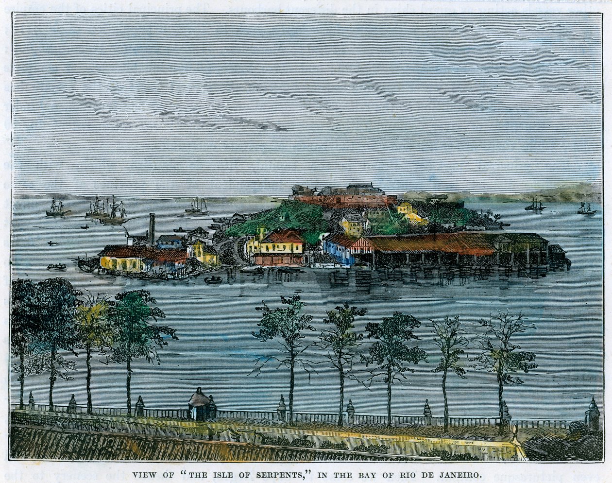 Udsigt over øen Serpents, i Rio de Janeiro-bugten, Brasilien, c1880 af Unbekannt