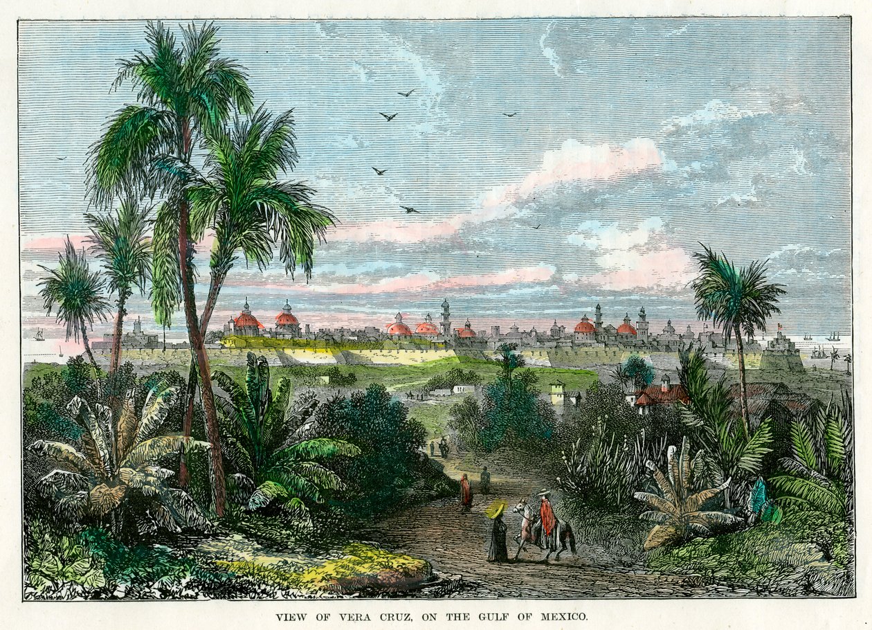 Udsigt over Vera Cruz, ved den Mexicanske Golf, Mexico, c1880 af Unbekannt