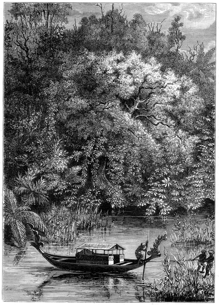 Udsigt over Dodinga-floden, New Guinea, 1877 af Unbekannt