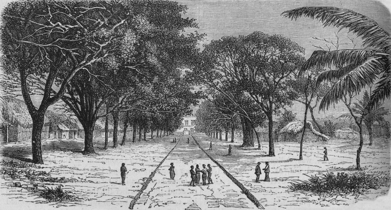 Landsby på Afrikas vestkyst, c1880 af Unbekannt