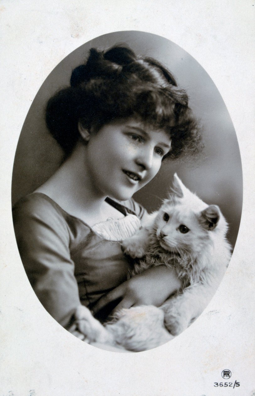 Vintage fransk postkort, c1900 af Unbekannt