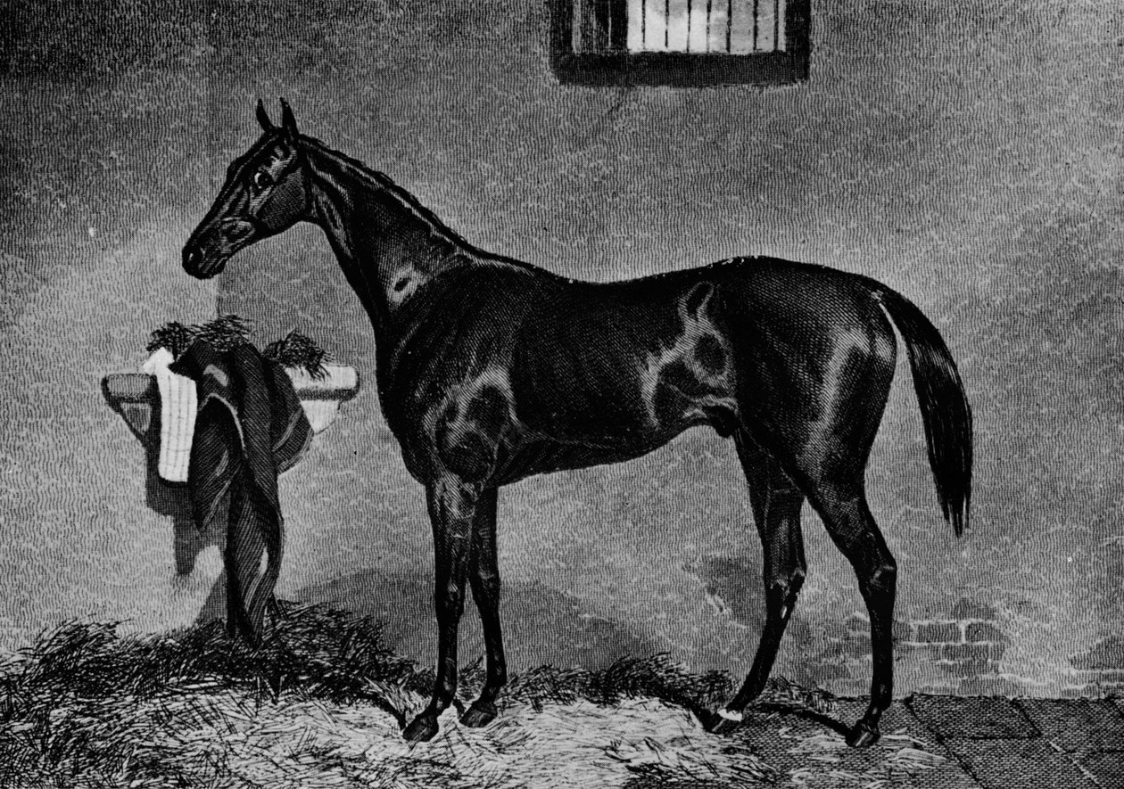 Voltigeur, 1847-1874, 1911 af Unbekannt
