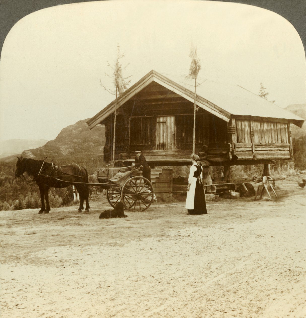 Venter på passagerer på vejen nær Bolkesjo, Norge, c1905. af Unbekannt