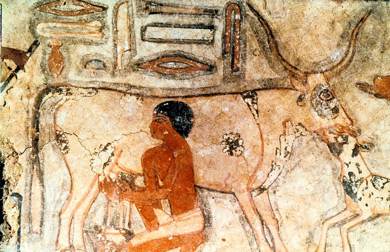 Vægmaleri fra Methethis grav, Saqqara, Det gamle Egypten, Det Gamle Kongerige, c2371-2350 f.Kr. af Unbekannt