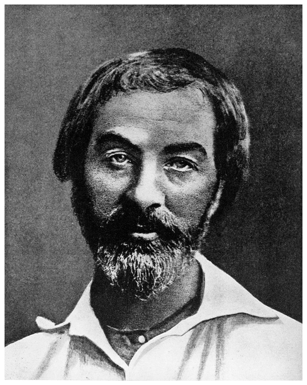 Walt Whitman, amerikansk digter, 19. århundrede 1956 af Unbekannt