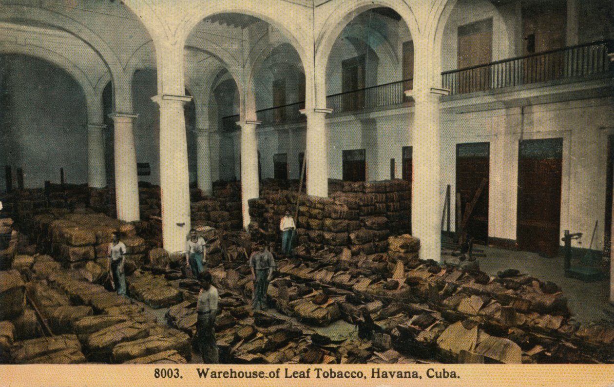 Lager af bladtobak, Havana, Cuba, c1910 af Unbekannt