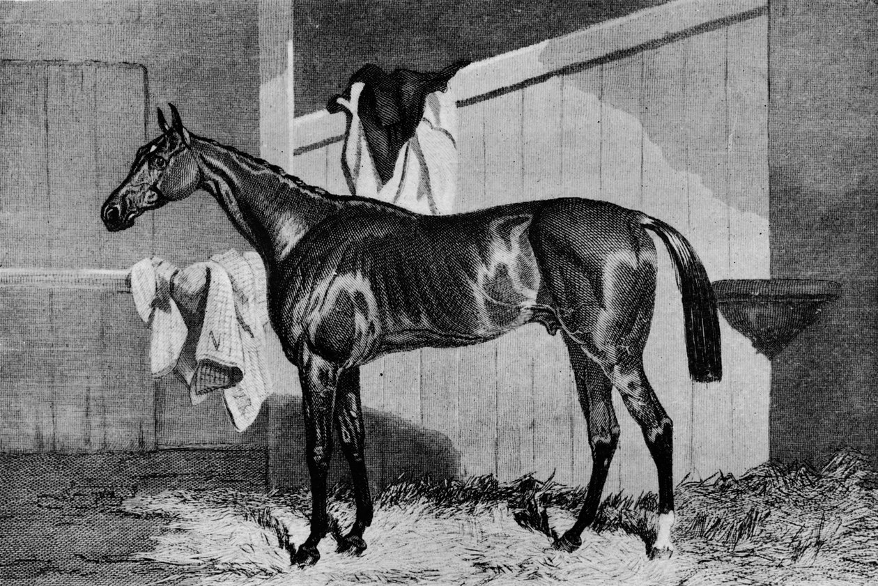 Warlock, 1800-tallet, 1911 af Unbekannt