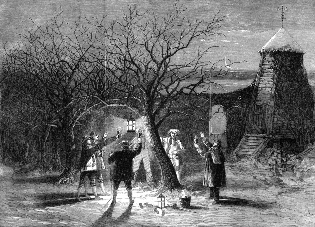 Sejlede æbletræer med varm cider i Devonshire den tolvte aften, 1861 af Unbekannt