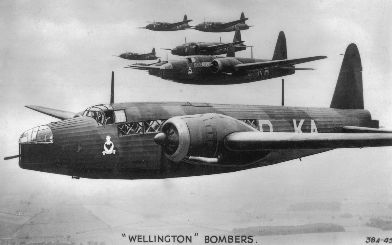 Wellington bombefly, c1940