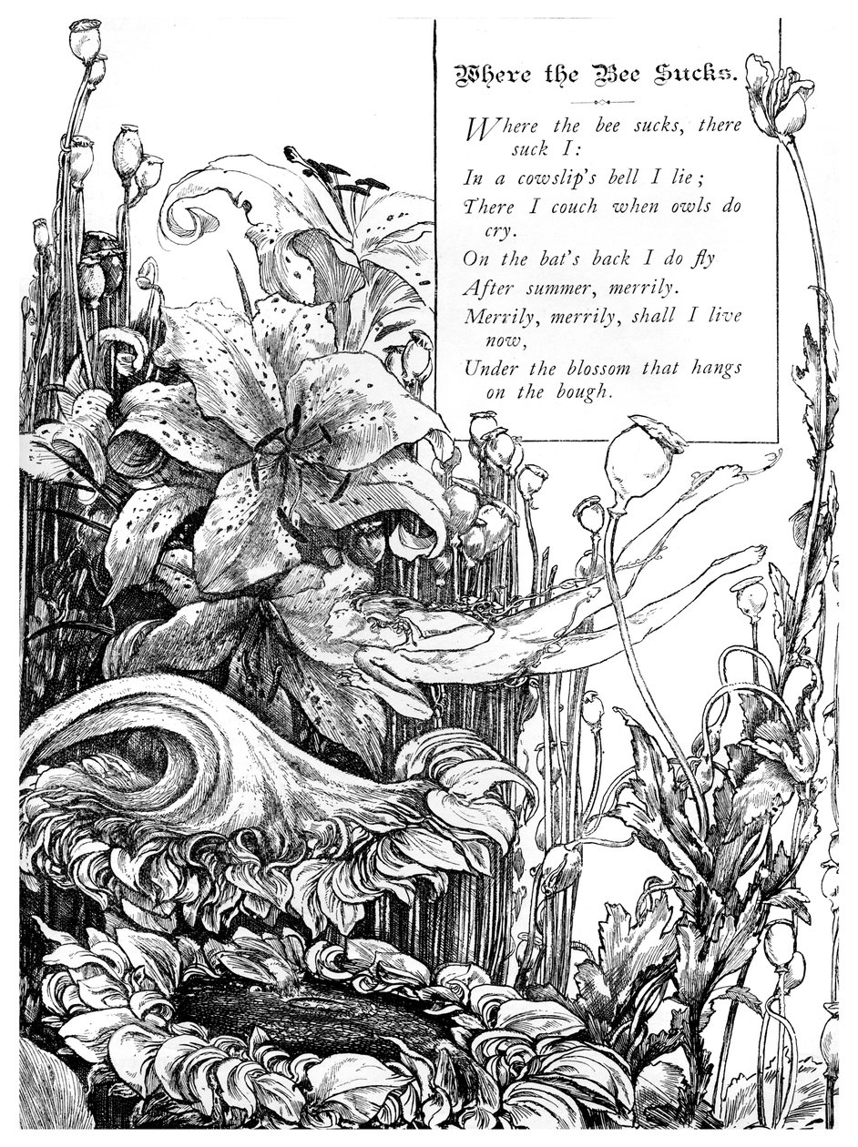 Hvor bien suger, 1895 af Unbekannt