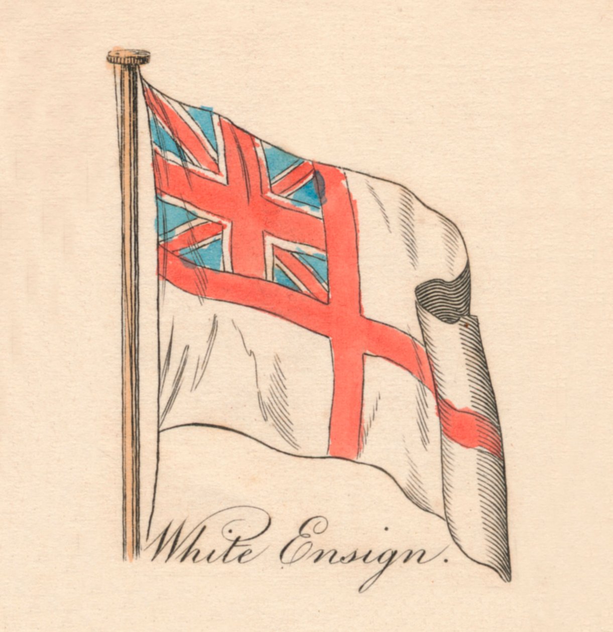 Hvid Fenrik, 1838 af Unbekannt