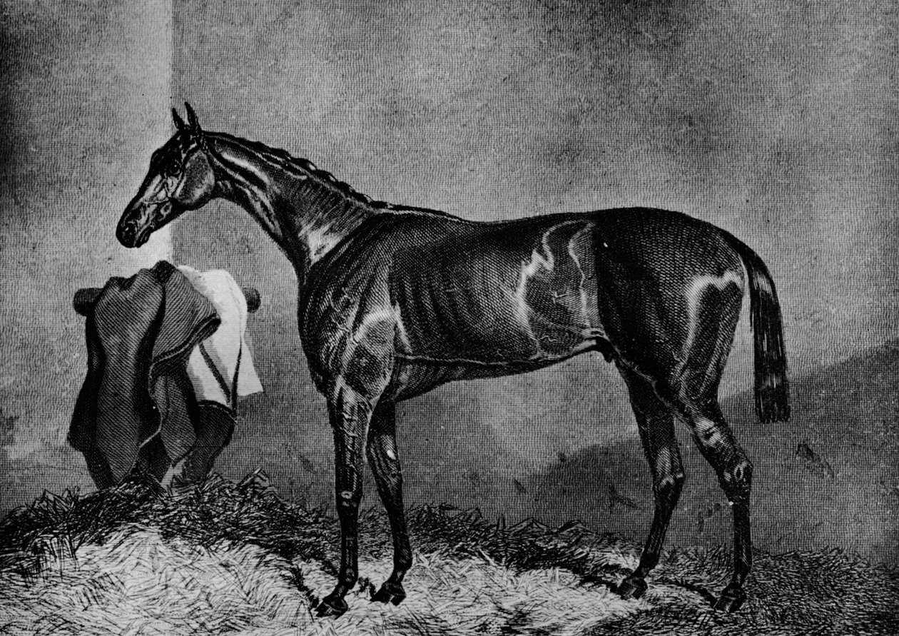 Wild Dayrell, 1852-1870, 1911 af Unbekannt