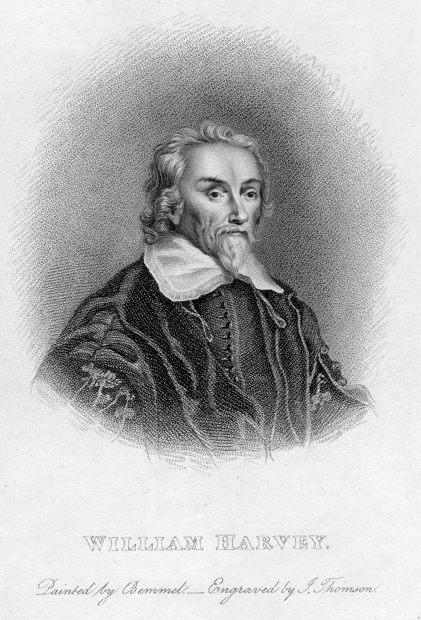 William Harvey 1578-1657 engelsk læge, c1600-tallet af Unbekannt