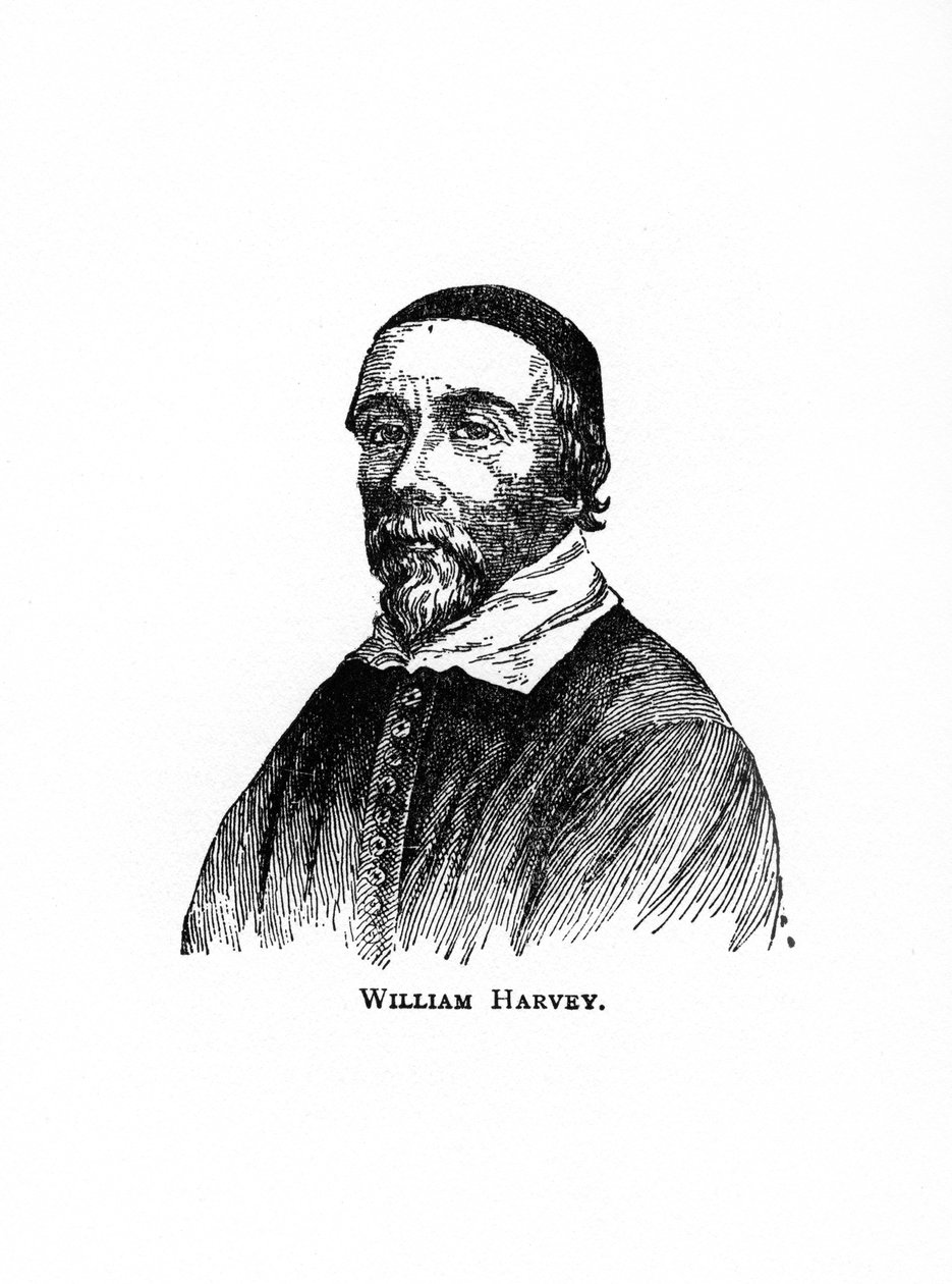 William Harvey, engelsk læge fra det 17. århundrede, 20. århundrede af Unbekannt
