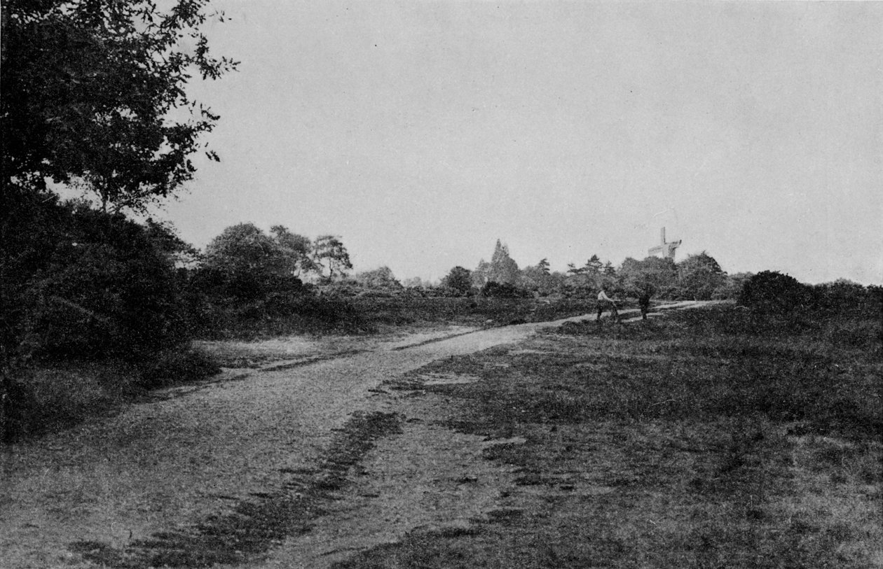 Wimbledon Common and the Windmill, c1900, 1912 af Unbekannt