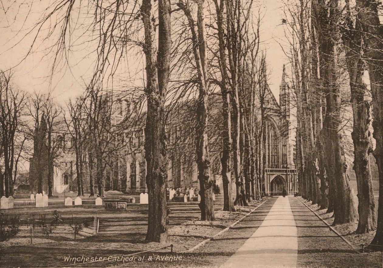 Winchester Cathedral and Avenue, Hampshire, begyndelsen af det 20. århundrede. af Unbekannt