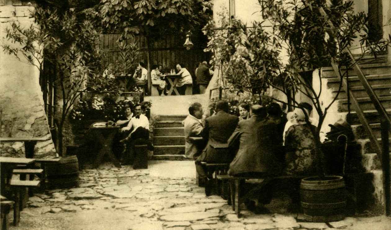 Vingård i Grinzing, Wien, Østrig, c1935. af Unbekannt