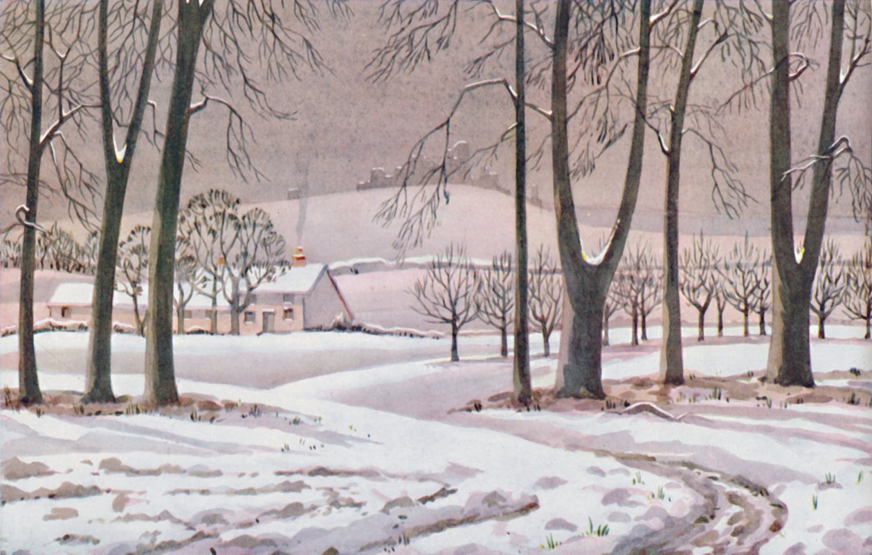 Vinter - De fysiske, kemiske og biologiske forandringer forårsaget af solen i løbet af året, 1935 af Unbekannt
