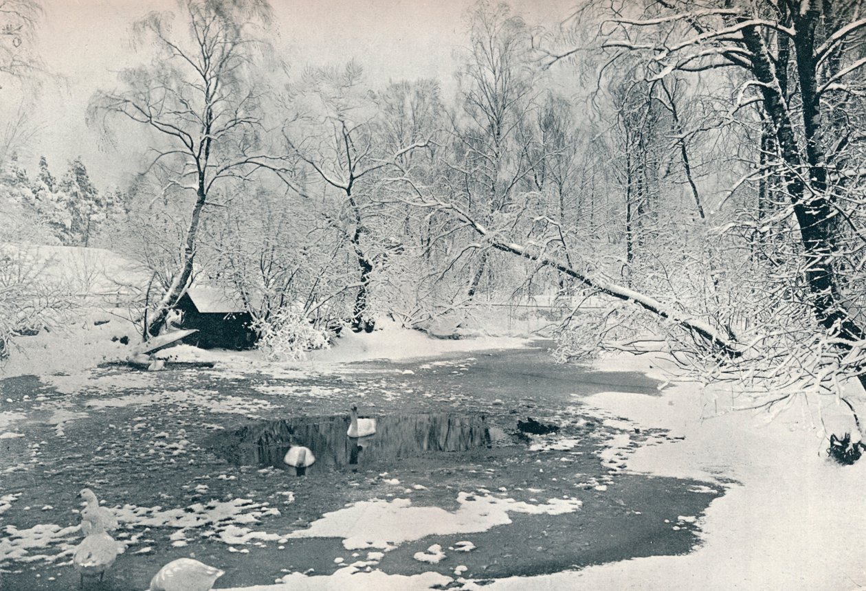Vinterudsigt over Frilandsmuseet på Skansen, ca. 1900 af Unbekannt
