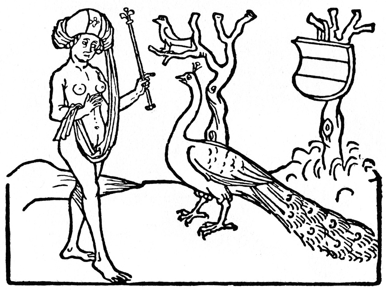 Kvinde og påfugl, 1475 1964. af Unbekannt