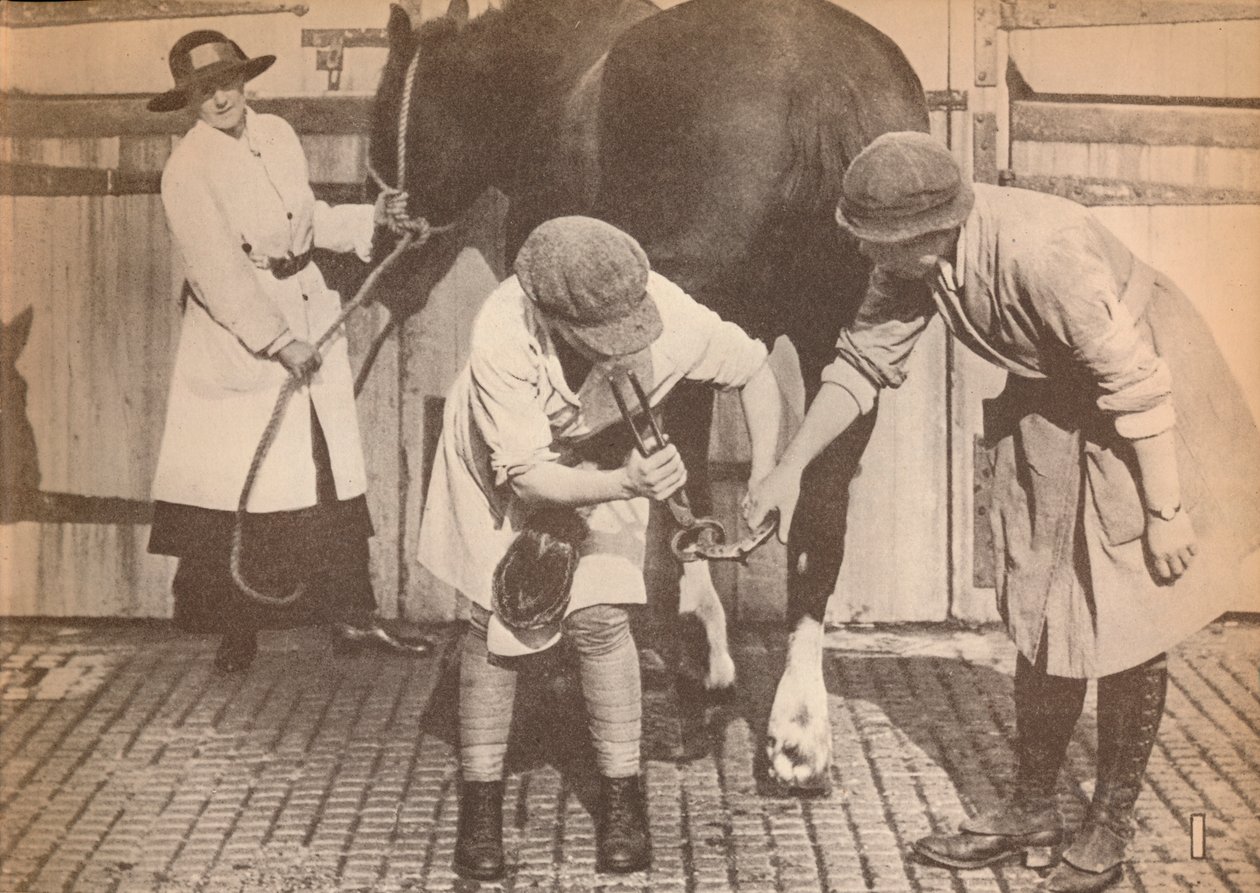 Kvinder som hovslagere på hestehospitalet i et stort firma af vognmandskontaktorer, c1916, 1935 af Unbekannt