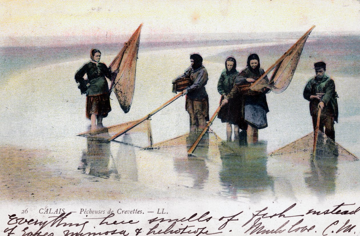 Kvindelige rejefiskere, Calais, 1905 af Unbekannt