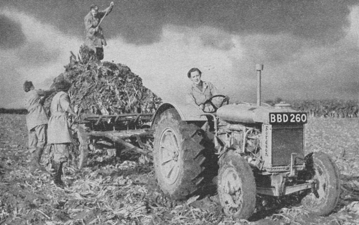 Womens Land Army løfter en afgrøde, Anden Verdenskrig, 1940 af Unbekannt