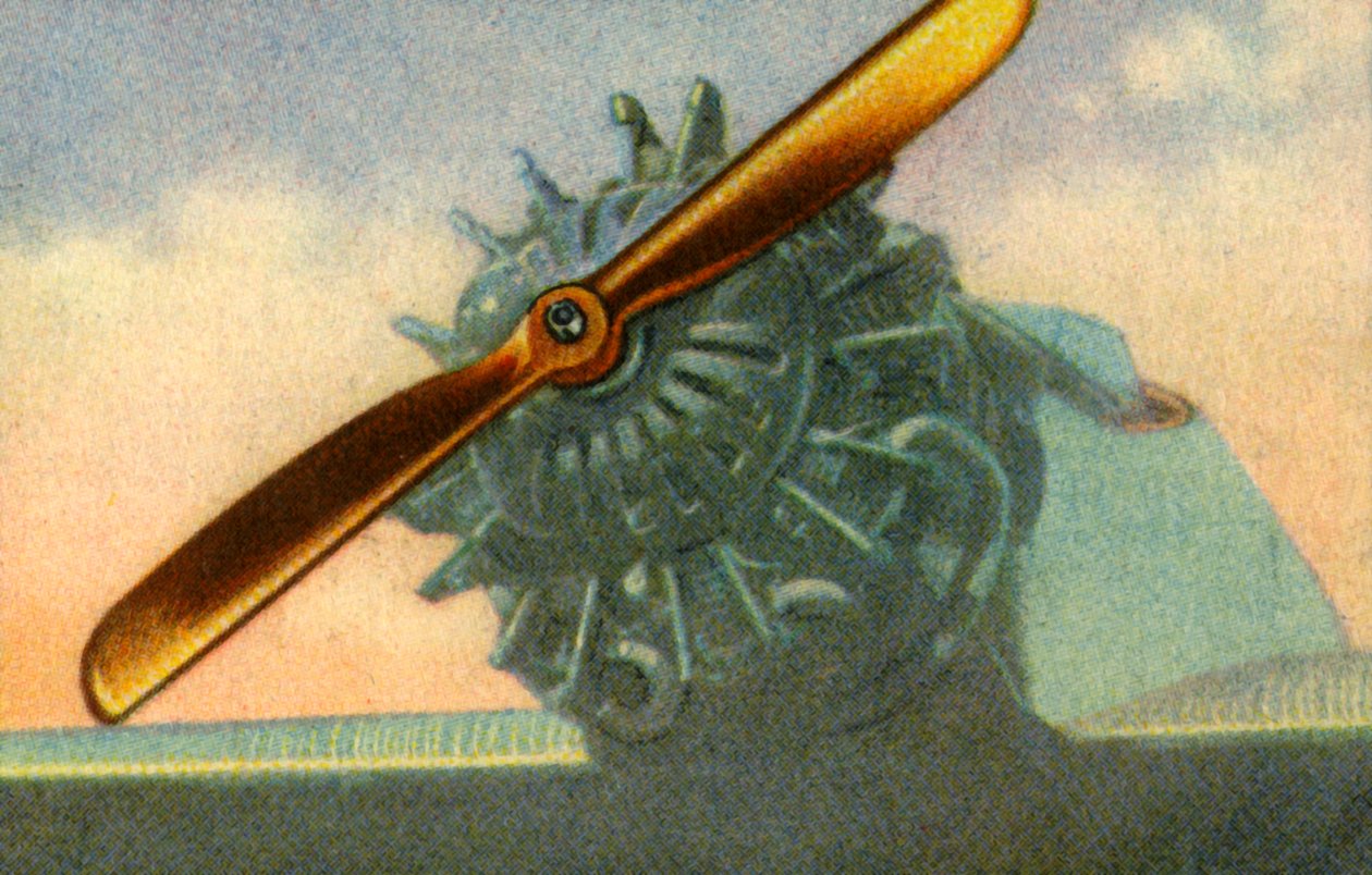 Træflypropel lavet af Schwarz Propeller-Werk firmaet, 1932. af Unbekannt