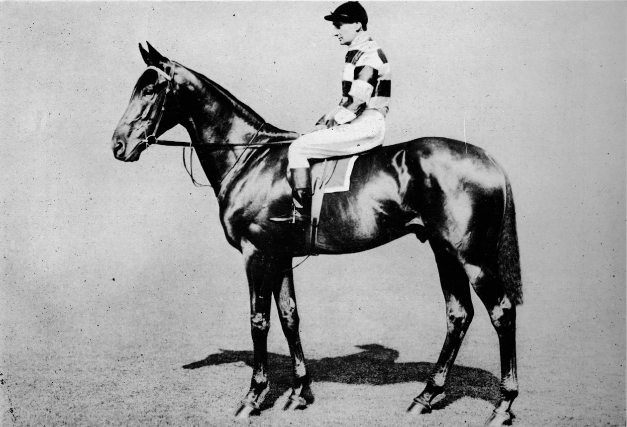Uldvikler, 1904-1928, 1911 af Unbekannt