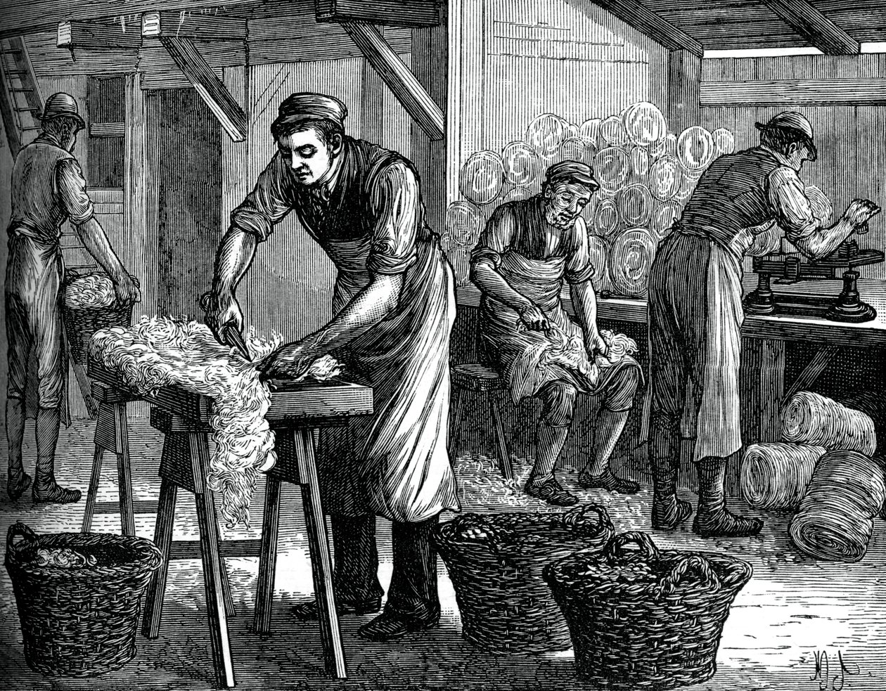 Uldsorterer, c1880 af Unbekannt