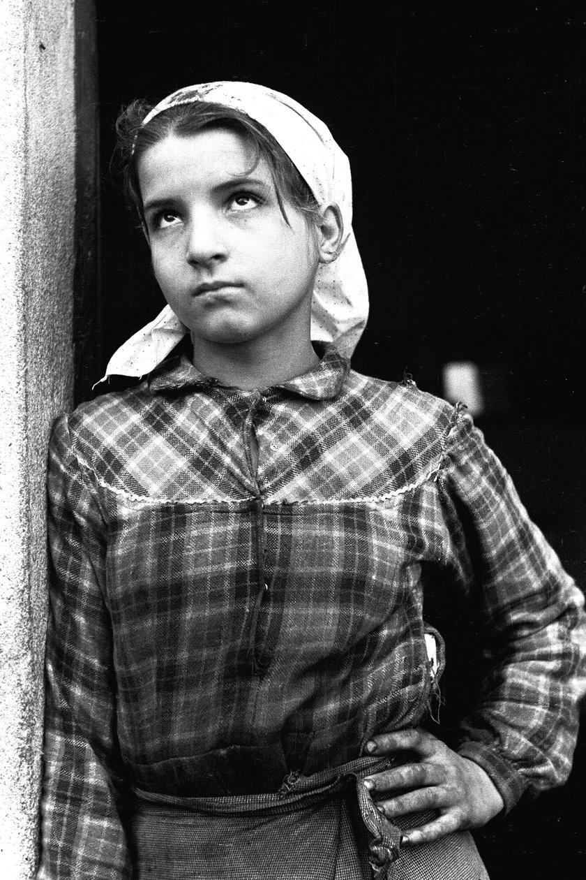 Ung pige arbejder som olivenplukker i Calabria, Italien, ca. 1955 (s/h-foto) af Unbekannt
