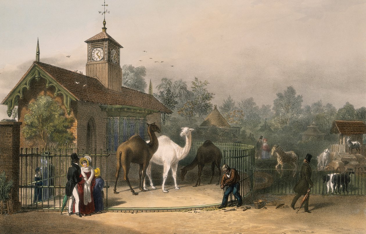 Zoologisk have, Regent