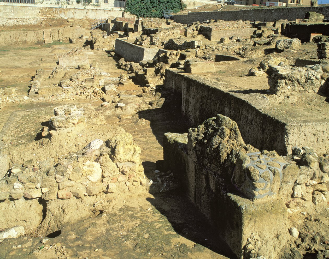 Arkæologiske rester af den græske koloni, 6.-5. århundrede f.Kr af Unbekannt Unbekannt