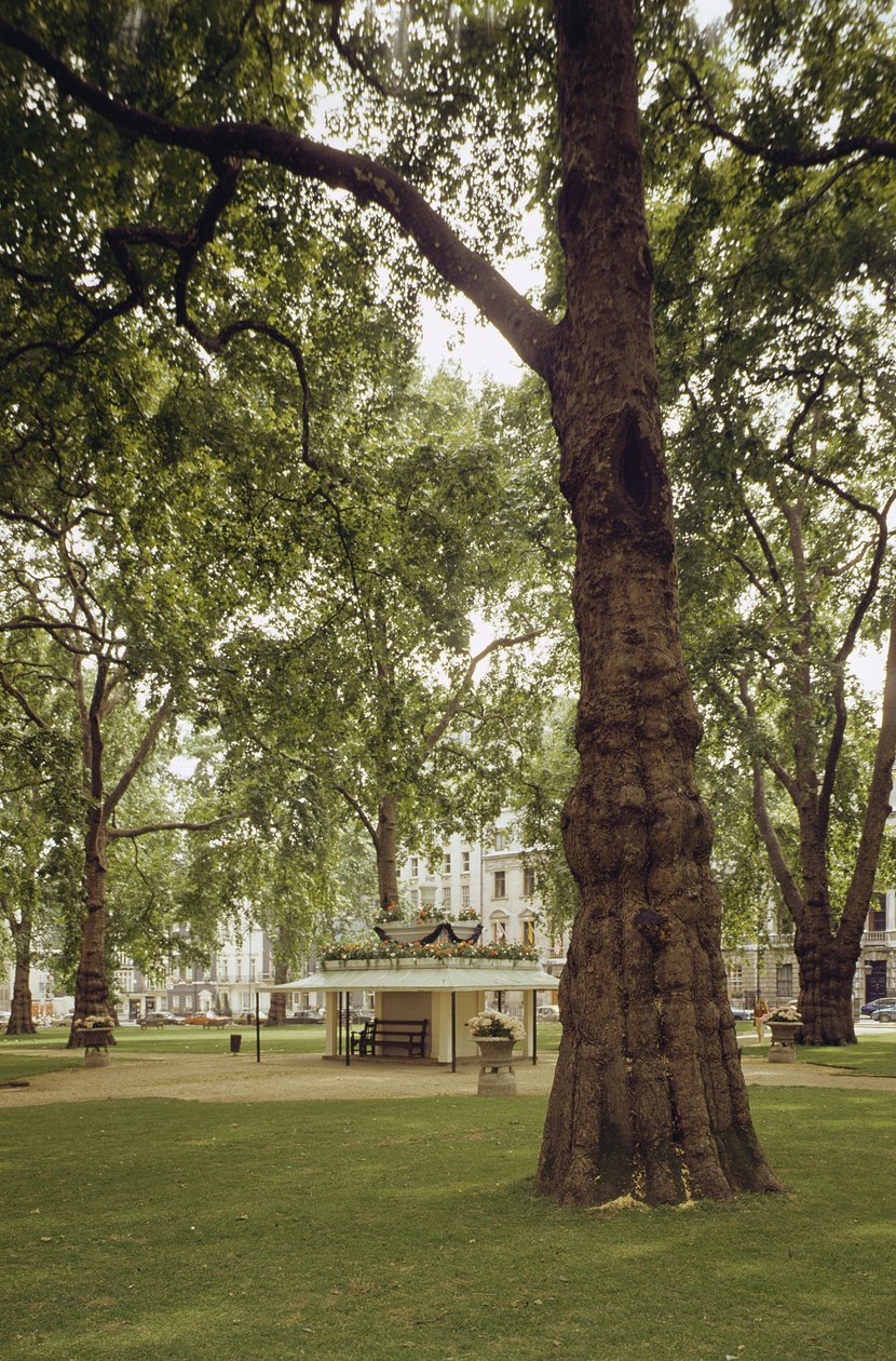 Berkeley Square, London W1 af Unbekannt Unbekannt