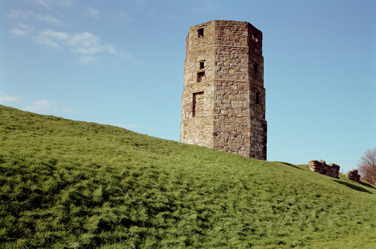 Cow Tower, Berwick, Northumberland af Unbekannt Unbekannt
