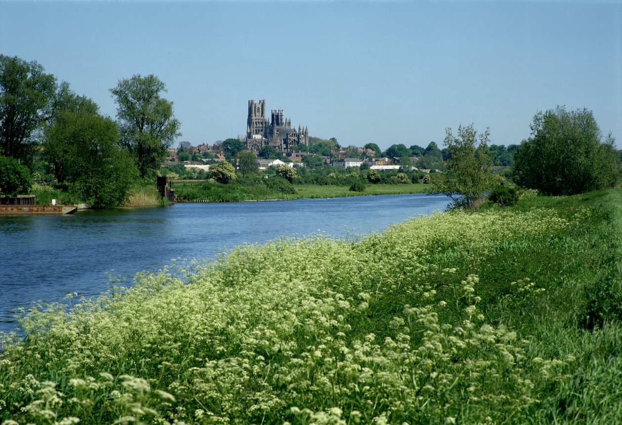 Ely-katedralen og floden Ouse af Unbekannt Unbekannt