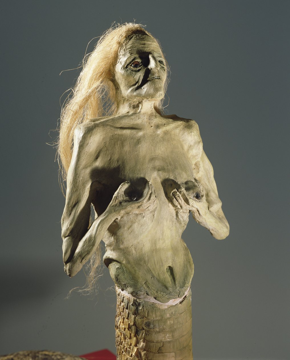Halvkvinde, halvslangevæsen, gyde af Melusine, 1900 af Unbekannt Unbekannt