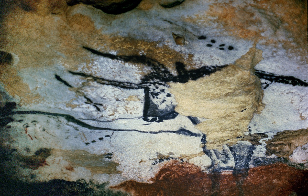 Klippemaleri af en tyr med lange horn, Hall of Bulls, ca. 17000 f.Kr af Unbekannt Unbekannt