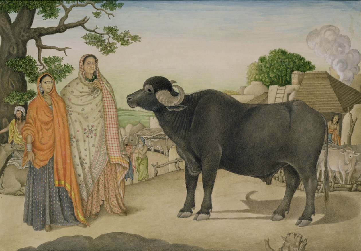 To landsbykvinder og en bøffel i landsbyen Rania, ca. 1816, indisk af Unbekannt Unbekannt