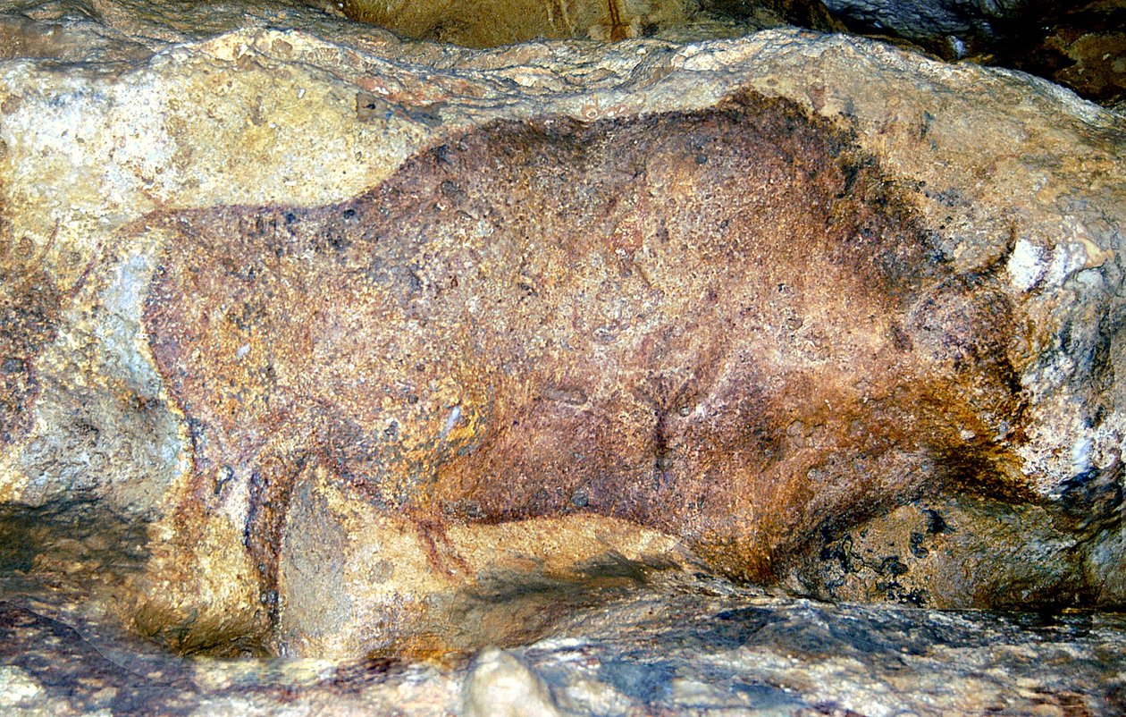Bison i Font De Gaume, ca. 25.000 f.Kr. af Unbekannt Unbekannt