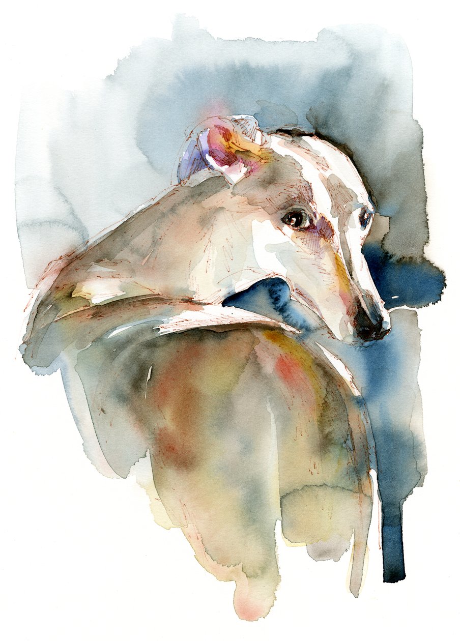 Greyhound Hope, 2016, af Unbekannt Unbekannt