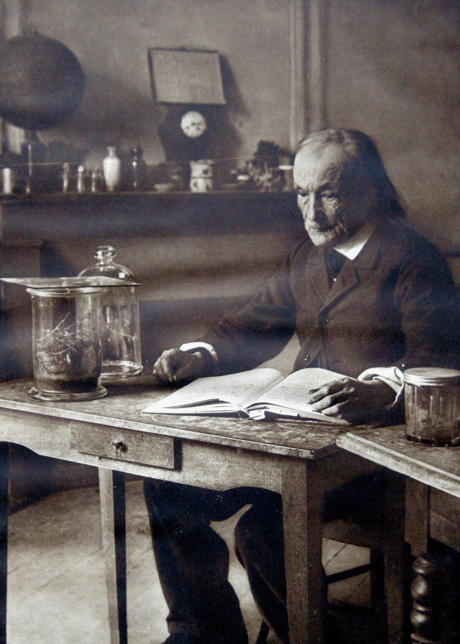 Jean-Henri Fabre, 1913 af Unbekannt Unbekannt