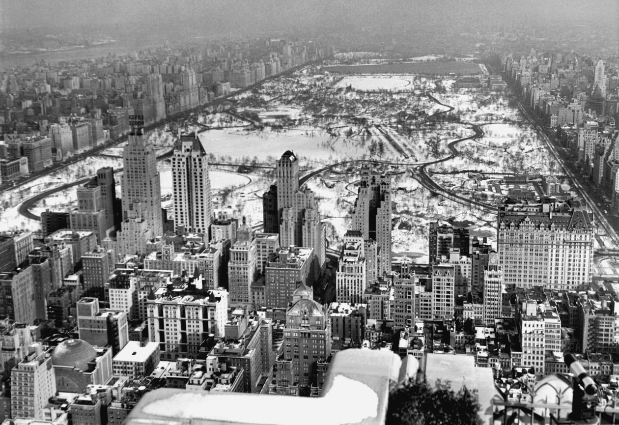 Udsigt til Midtown og Central Park af Unbekannt Unbekannt