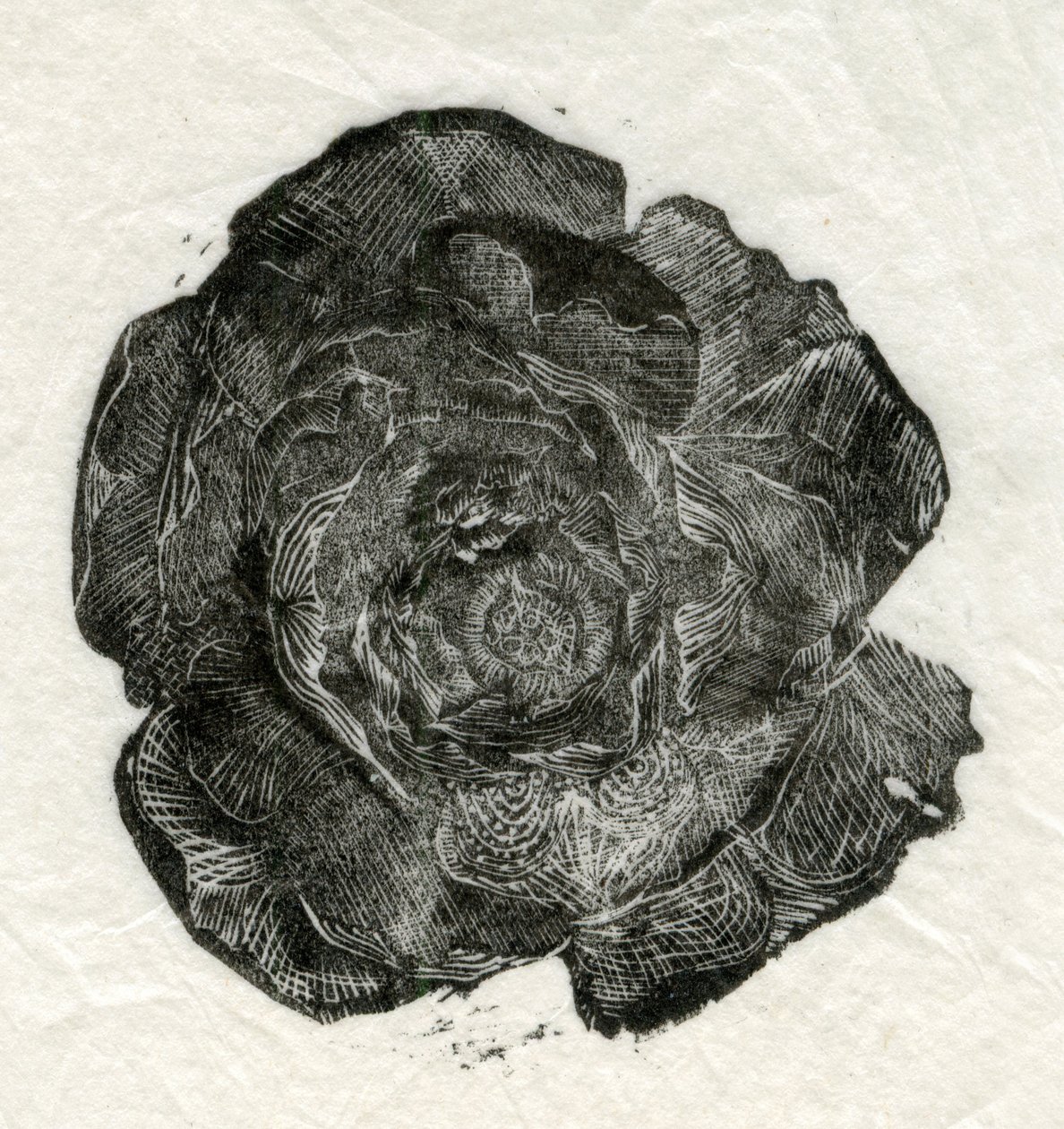 Pine Rose, 2014, af Unbekannt Unbekannt
